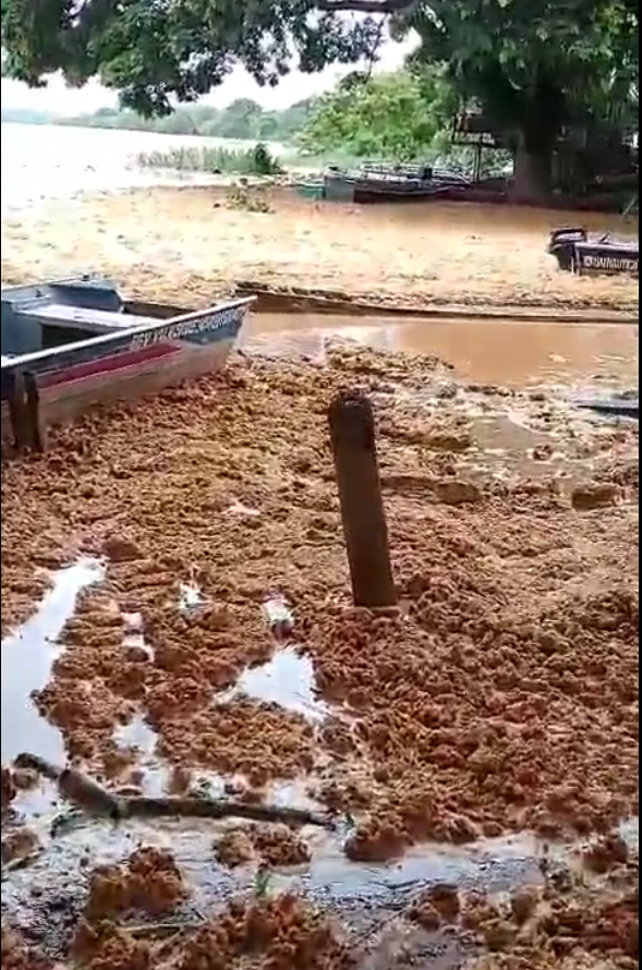 Nível do Rio Doce sobe e preocupa a população.